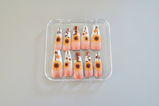 Daisey's press on nails - Tula Rose